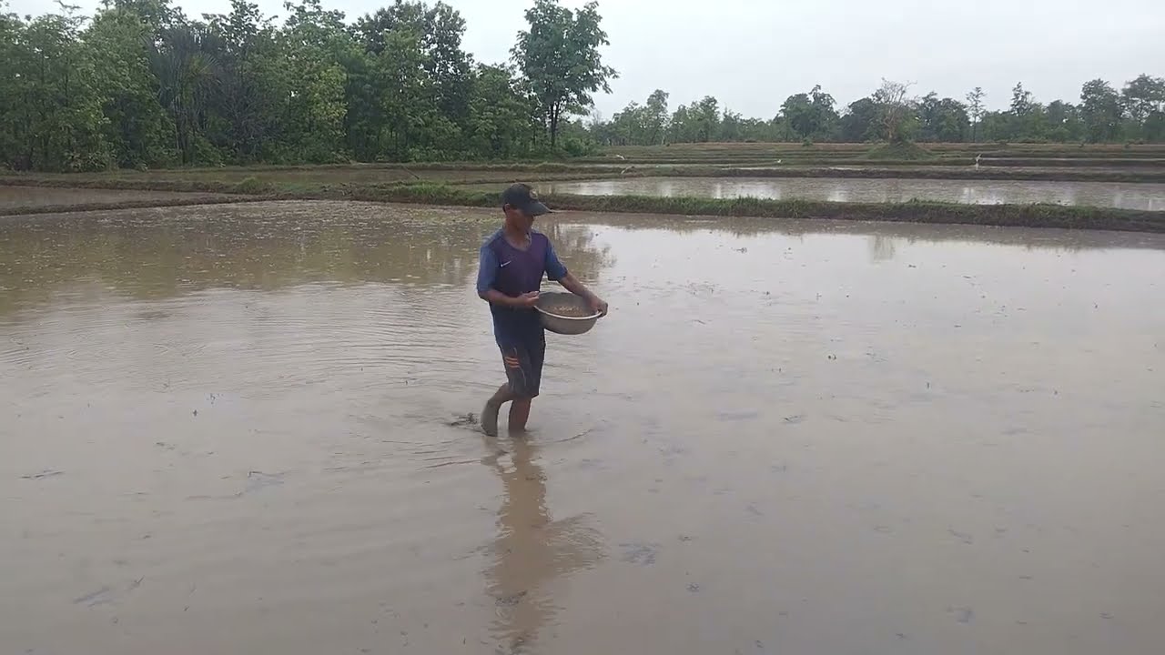 Have you all plowed the fields Let me learn to farm with me