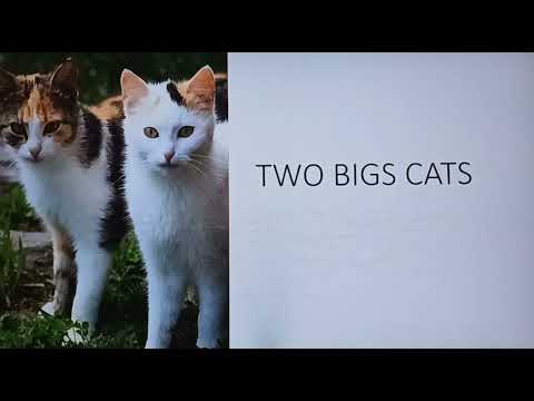Class 1 English Unit 3| Poem 3: One Little Kitten- Reading & Explanation| Marigold Book| CBSE| NCERT