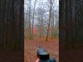 Deer Close 🌲Shot –🌎 Sudden Wildlife😱 Moment#Deer🦌 #Wildlife #Nature🦌 #CloseShot🎯 #WildAnimals😱 UK 🌲🎯