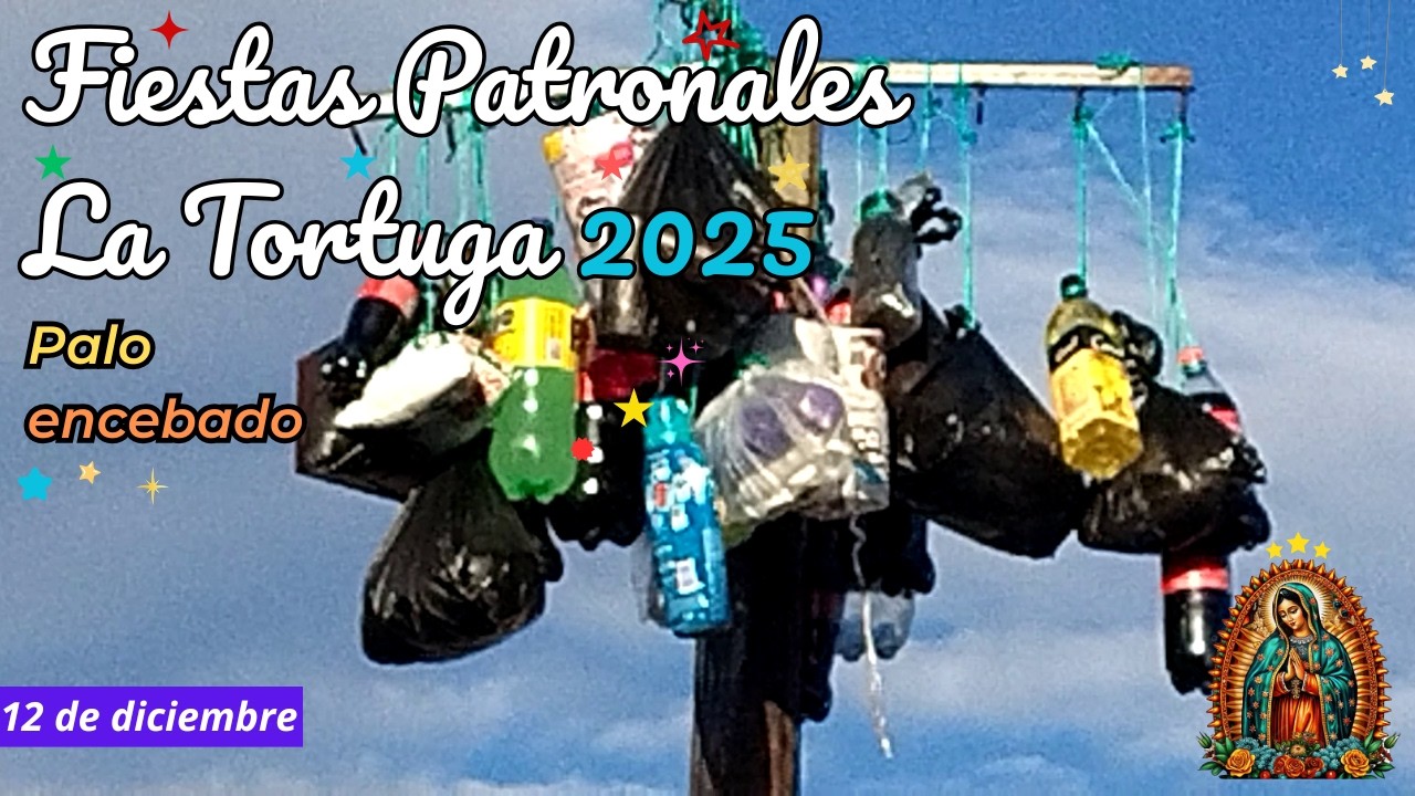 Palo Encebado | Fiestas Patronales La Tortuga 2025 | 12 de diciembre