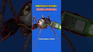為了這 0.1 秒！中國三代人接力 60 年，超音速風洞至今無人超越！World's Unmatched Supersonic Wind Tunnel!