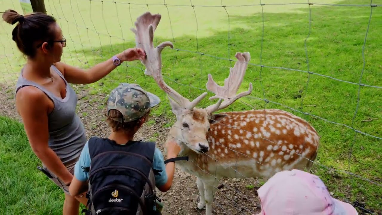 Wildfreizeitpark Oberreith - 4K