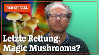 Helfen Magic Mushrooms gegen Depressionen? – Shortcut