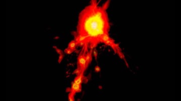 Evolving (very active) galaxy cluster: time evolution of gas mass