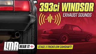 393ci Windsor Stroker Exhaust Sound Clips w/ Trickflow Stage 3 Cam & Flowmaster Cat Back