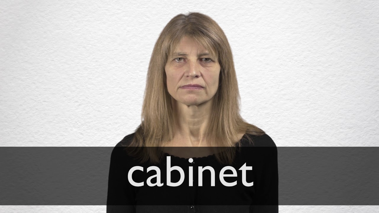 Cabinet Definition And Meaning Collins English Dictionary