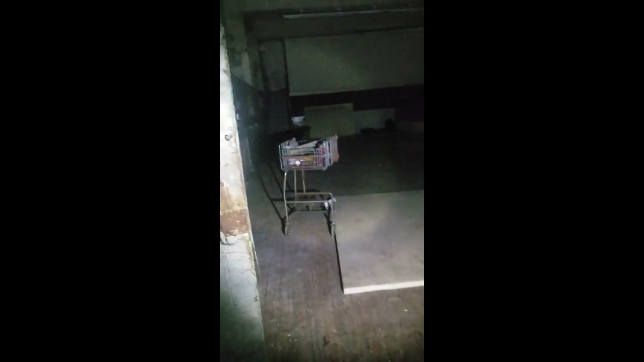 New Vienna Nightmare - Story of Eleanor