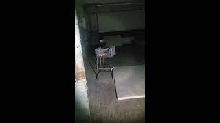 New Vienna Nightmare - Story of Eleanor