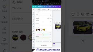 Quick Tutorial for Canva: How to change color of picture in Canva?