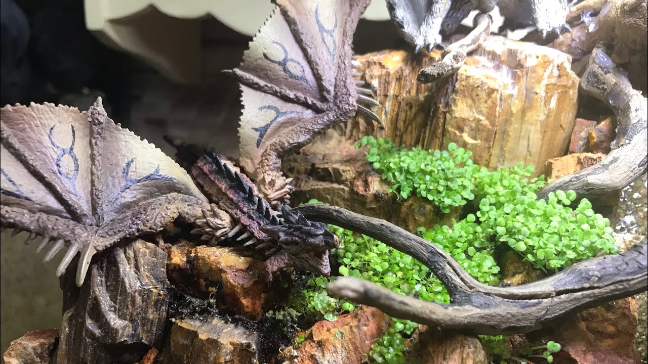 モンハンジオラマ水槽 アクアリウム Youtube モンハンジオラマ水槽 アクアリウム Youtube