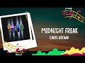 Chris Brown - Midnight Freak (Lyrics)