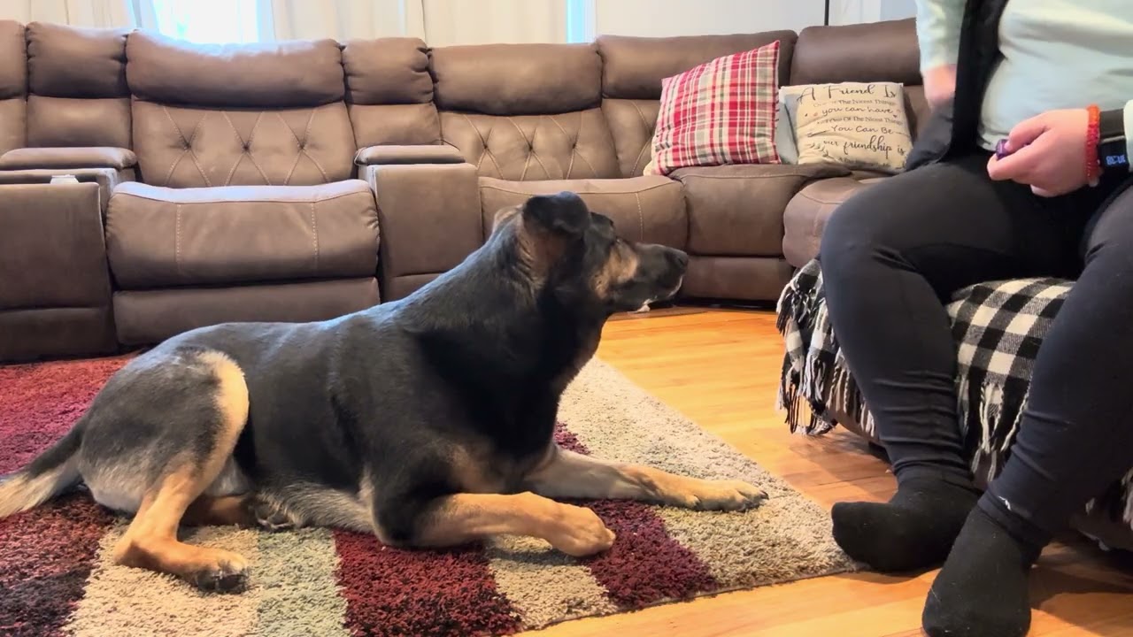 Exercise 4.1 :Head Dip Second Shaping Session Angelina Manwaring