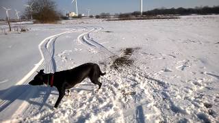 WP 20140127 001