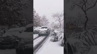 Download Lagu snowy day Mashhad Iran MP3