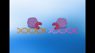 KLIPP: Targeting Cancer with CRISPR