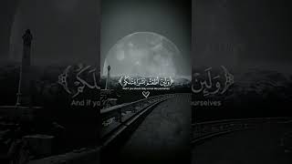 surah Al mumin #shorts