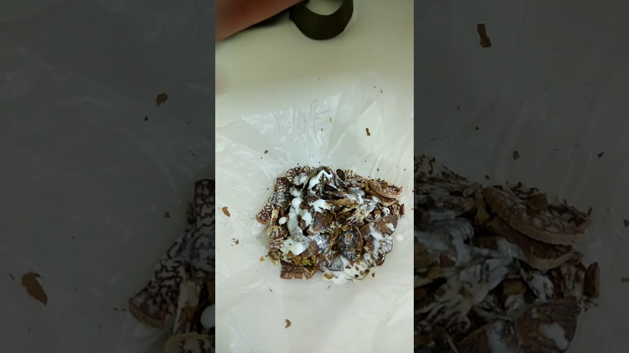 How make Goldan kathiyavadi mavo | 135 mavo | Kathiyavadi Masalo | kachi patri mavo