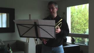 Adele's Skyfall, trumpet cover