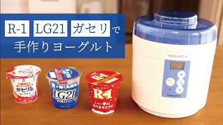 R-1、LG21、ガセリ菌SP株で手作りヨーグルトを作ってみました。