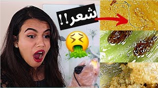 شوفوا كيف شكل الأكل تحت الميكروسكوب | ما رح تصدقوا ايش لقيت 😱🔬!!!