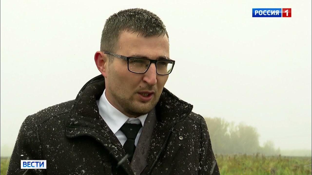 Ревизия 2021. Ревизия 2021. Налоговые проверки 2021. Понос у пчел. Ревизия 2021.