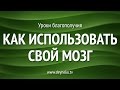 [Уроки Благополучия] Как использовать свой мозг