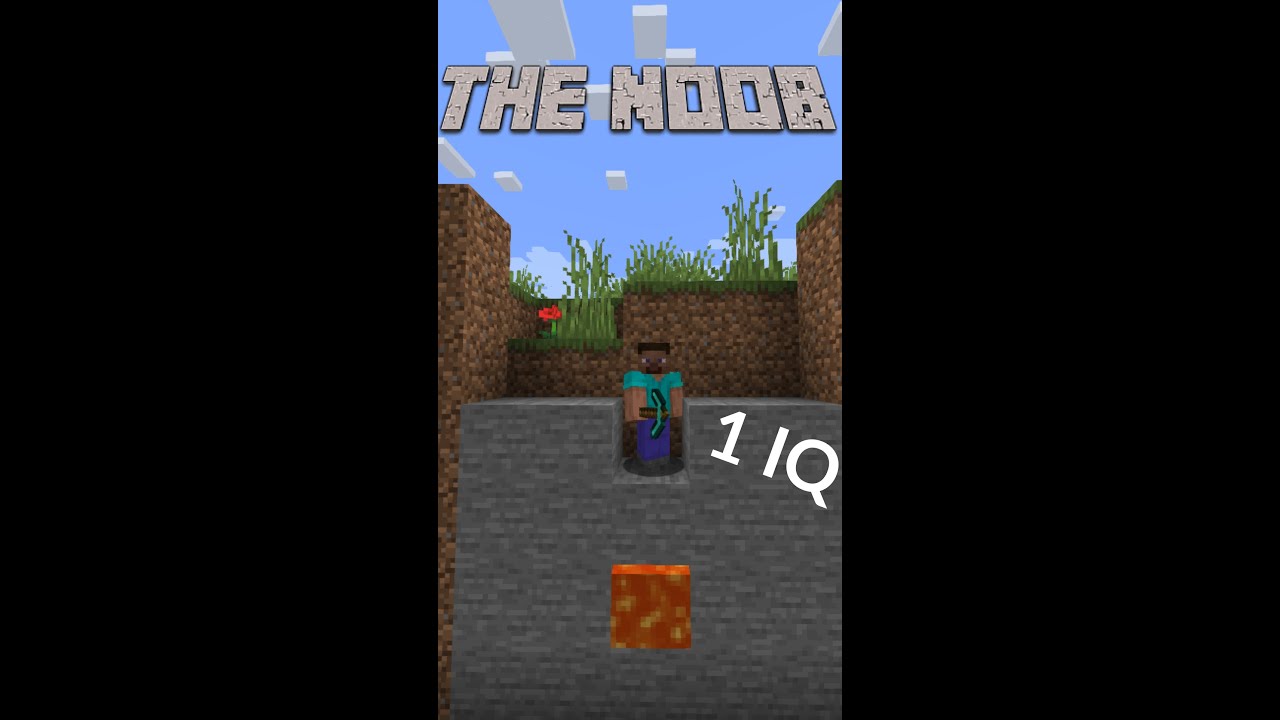 Minecraft Stereotypes