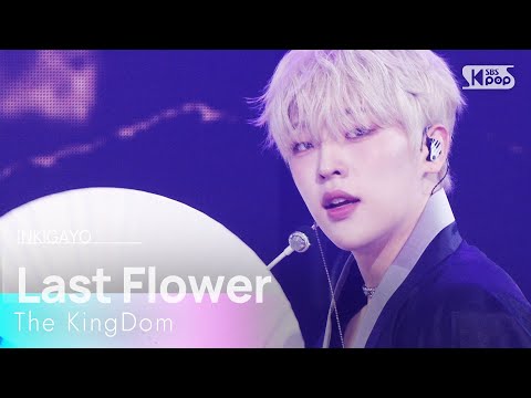 화월가 The KingDom 더킹덤 SBS 250928 방송