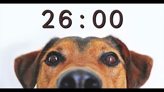 26 Minute Timer for School and Homework  Dog Bark Alarm Sound