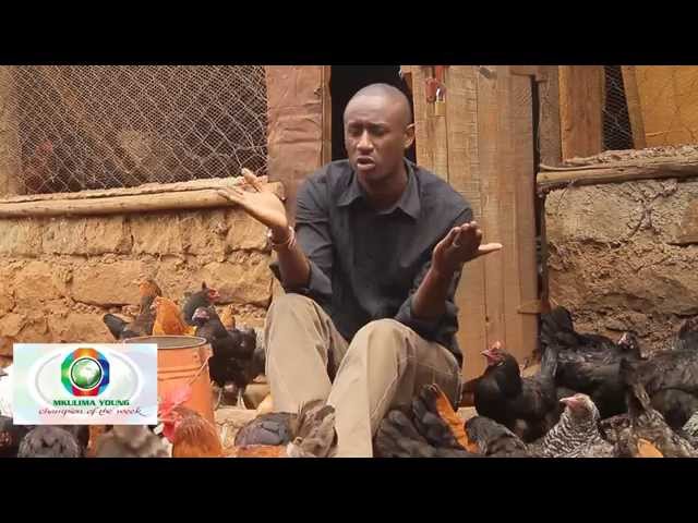Mkulima Young Champion - Former journalist Sh 800,000 kienyenji chicken empire class=
