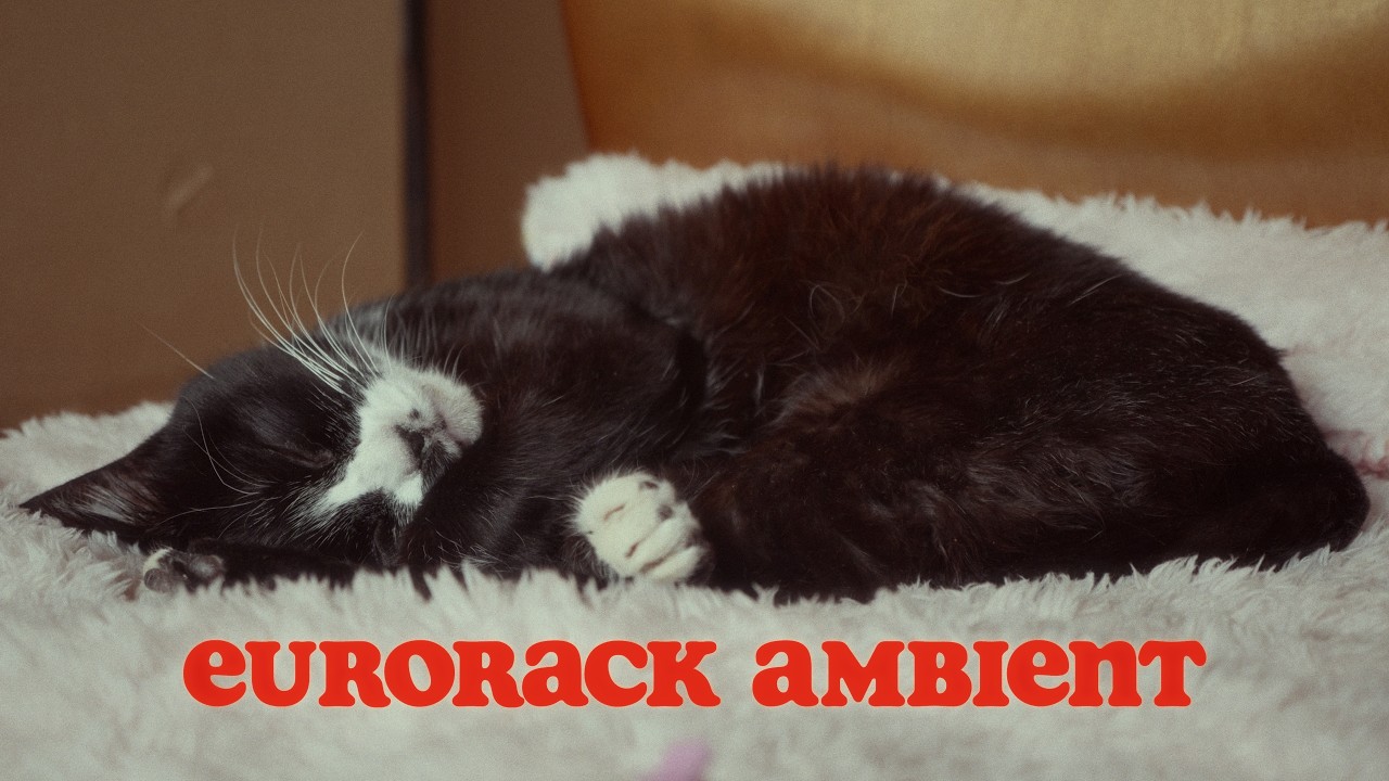 Generative Modular Ambient | Session One | Cat Nap