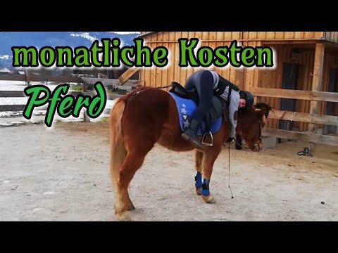 Video: Soll man ein Pferd im Stall h alten?