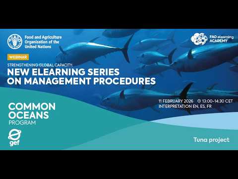Fortalecimiento de capacidades: Serie eLearning sobre Procedimientos de Gestión