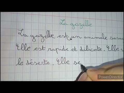 كتابة تعبير الغزالة باللغة الفرنسية لتلاميذ السنة الخامسة ابتدائي والشرح الكامل باللغة العربية