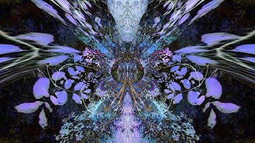 Video Art Project - NIGHT TRIP - Visual Art -