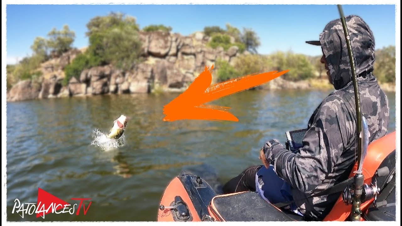 CASI PIERDO mi PATO 😱😱