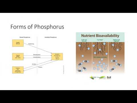 Plant Nutrients: Macronutrients