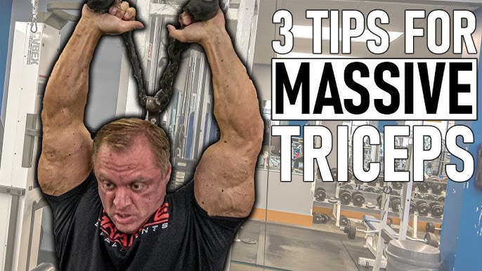 8 Best biceps and triceps workout with barbell only / SUPERSET
