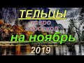 ГОРОСКОП ТЕЛЬЦЫ НА НОЯБРЬ.2019