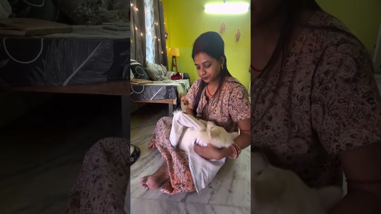 Everyday retain Nahi Khana khaga notanki Chikku robo ka 😂😂🐶❤️🐶❤️