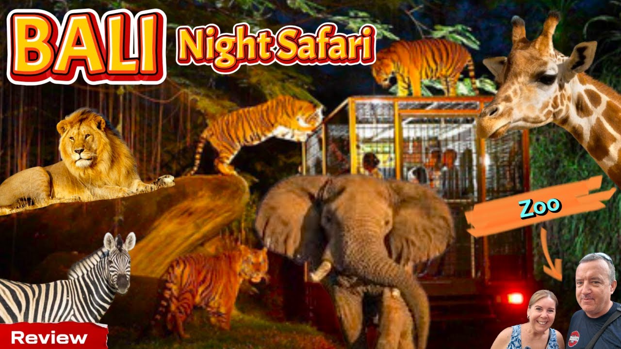 Bali Night safari -  Like a zoo,  We go before you go