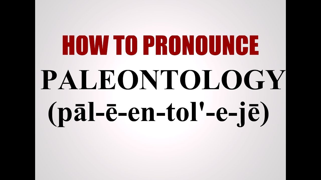How To Pronounce Paleontology YouTube