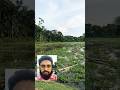 নিত্যানন্দ কাটি গ্রামের মাঝ দিয়ে বয়ে গেছে একটি সুন্দর ছোট্ট বেতনা নদী