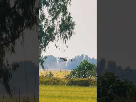 Kịch tính quá bạn mình ạ!🫣