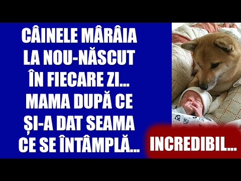Câinele mârâia la