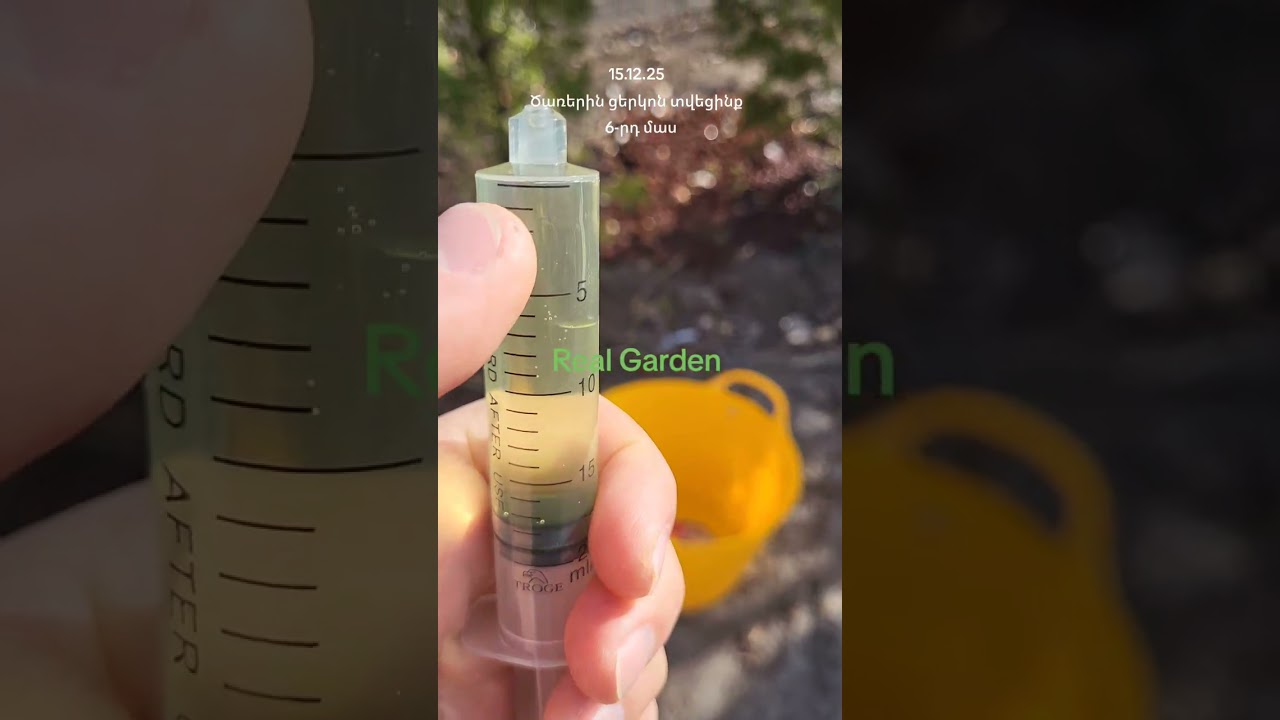 Նոր տնկված ծառերին մի քանի օր հետո ՑԻՐԿՈՆ տվեցինք,որը ծառին ավելի դիմացկուն կդարձնի...