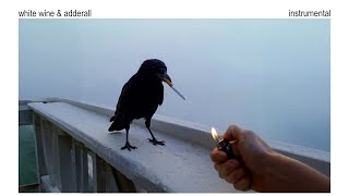 The Chainsmokers Beau Nox  White Wine U0026 Adderall  Instrumental