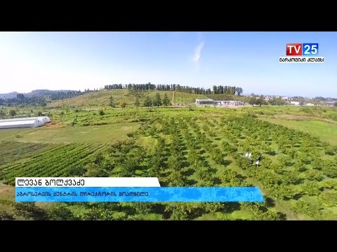 აზიური ფაროსანას წინააღმდეგ ჩატარებულ ღონისძიებებს სპაციალისტები აფასებენ