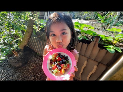 Video: Puas strawberry thiab raspberry tshuaj yej ua rau kev ua haujlwm?