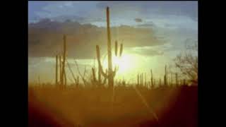 Men I Trust - I COME WITH MUD (Slowed + Reverb) CHILLED